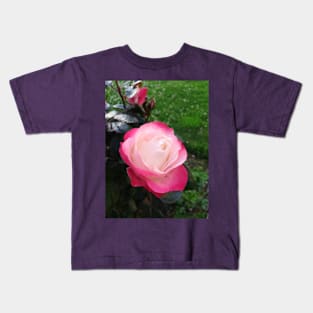 Red and white rose photo Kids T-Shirt